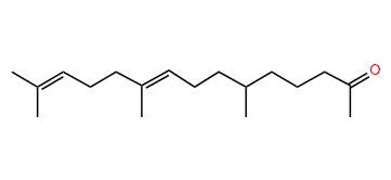 (E)-6,10,14-Trimethyl-9,13-pentadecadien-2-one